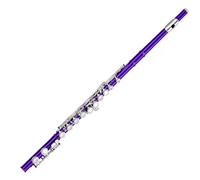 16 Closed Hole C Tone Nickel Plated Flute With Silver E Key Professional Performance(Purple)