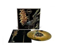 16 - Dream Squasher [VINYL]