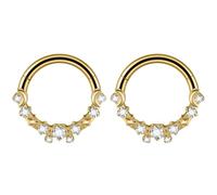 16 Gauge Nose Ring Gold, 2pcs G23 Titanium Hoop Tragus Cartilage Nose Piercing Jewellery Rings with Cubic Zirconia, Style 1-Gold
