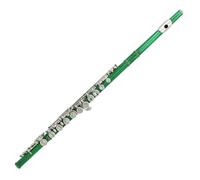 16 Hole Closed Hole C Tone Flute Instrument For Student Adult With Case And Ccessories Flute for Beginner (Color : Green)