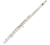 16 Hole Closed Hole C Tone Flute Instrument For Student Adult With Case And Ccessories Flute for Beginner (Color : Silver)