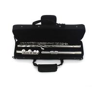 16 Holes Closed Hole Flute, Flute Instruments, 16Close Holes C Key Flute Nickel Plated Flute With E Key With Bag Cleaning Tools