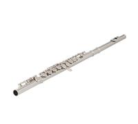 16 Keys C Flute Closed Hole Nickel-Plated with Case Cleaning Kit Stand Gloves Tuning for Beginners Students