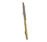 16 Keys C Flute, Flute Instrument with Carrying Case, Tuning Rod, Cloth, Bracket, Screwdriver for Beginners, Student, Music Lessons, Home Practice