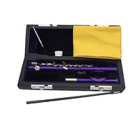 16 Keys C Piccolo, Piccolo Musical Instrument, Guarantee Top Quality Sound, With Case, Tuning Rod And Cloth, For Beginner Kids Student (Color : Purple)