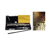 16 Keys C Piccolo, Piccolo Musical Instrument, Guarantee Top Quality Sound, With Case, Tuning Rod And Cloth, For Beginner Kids Student (Color : Silver)