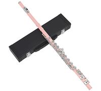 16 Keys C Tone Closed Hole Flute for Students Beginners, Musical Instrument with Case & Cleanning Set, Woodwind Instrument