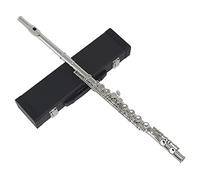 16 Keys C Tone Closed Hole Flute Woodwind Instrument for Student Beginner, Flute with Case, Gloves, Tuning Rod, Joint Grease and Cleaning Kit