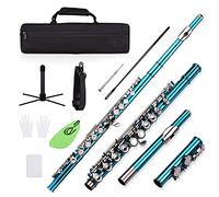 16 Keys Closed Hole C Flute Nickel-plated Cupronickel Wind Instrument with Carry Case Stand Cleaning Cloth Rod Screwdriver