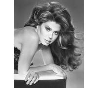 16 Most Requested Songs [CASSETTE]