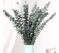 16 Pcs Dried Eucalyptus Stems, 17'' Natural Real Live Greenery Eucalyptus Leaves Branches Hanging Shower, Preserved Dried Plants for SPA Home Fragrance Bathroom Table Vase Decor