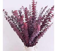 16 Pcs Dried Fall Eucalyptus Stems Red, Christmas Burgundy Dried Flowers for Vase, Home Decor, Real Eucalyptus Orange Brown, Eucalyptus Plant, 17" Fall Floral Stems Decorations Arrangement