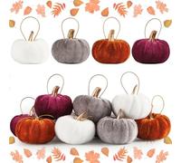 16 Pcs Fall Pumpkin Hanging Ornament 2.2 Inch Rust Orange White Velvet Pumpkins Thanksgiving Tree Decorations Small Fabric Foam Pumpkin for Fall Thanksgiving Autumn Harvest Farmhouse Home Party Decor