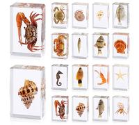 16 Pcs Ocean Animal Insect in Resin Specimen Bugs Collection Paperweights，16 Styles Real Bug Specimen Bug Kit Preserved in Resin for Scientific Educational Display Supplies (Ocean)