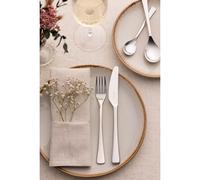 16-Piece Darwin Stainless Steel Cutlery Set Stainless Steel