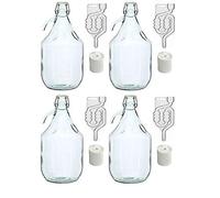 16-Piece Set of Glass Carboy Fermentation Bottles with Stoppers, Fermentation Tubes & Swing Top Caps, 5 Litres, BDG5D