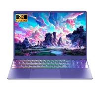 16" Purple Laptop Computer 12G LPDDR5 RAM 512GB NVMe SSD Alder Lake N95 CPU, 2K FHD(1920 * 1200) IPS Screen/Color Backlit KB/Fingerprint/Win 11 Pro PC for Business Work Study (12G+512GB)