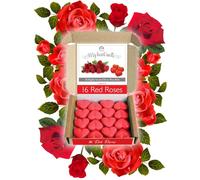 16 Red Roses Wax Melts: 16 x 5 g Heart Shaped Valentines Gifts for Him, Vegan Friendly, Romantic Anniversary Presents, Valentine Candle Alternative, Use as Valentines Decorations