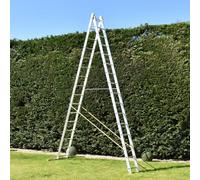 16-Rung Trade Master Pro 2 Section Combination Ladder