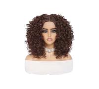 16“ Short Afro Kinky Curly Wig 13x4x1 inch Synthetic Lace Front Wigs For Women(Drak brown)