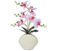 16" White and Pink Silk Phalaenopsis Orchid in Seashell Pot for Table Décor