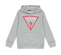 (16 Years, Grey) Guess Childrens/Kids Oth Logo Drawstring Hoodie