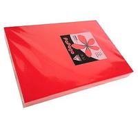 160 GSM A4 PAPAGO Printer Copier Paper 1 Ream of 250 Sheets - Coral RED