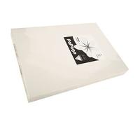 160 GSM A4 PAPAGO Printer Copier Paper x 1250 Sheets - 5 Reams of 250 Sheets - Steel Grey