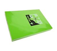 160 GSM A4 PAPAGO Printer Copier Paper x 3 Reams of 250 Sheets - Intensive Green