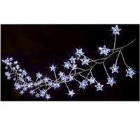 160 Multi Action White Star Cluster Micro Brights with Timer - PREMIER