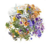 160 Pieces Transparent Botanical Stickers Scrapbooking Supplies Set Transparent Floral Stickers PET Flower Decorative Cards Waterproof Beautiful for Crafts Scrapbooking Crafts Laptop