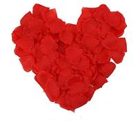 160 Red Rose Silk Petals Valentines Day Flowers Romantic Date Night
