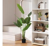 160cm Artificial Bird of Paradise Plant with Flocking in Pot, Green HOMCOM Green One Size