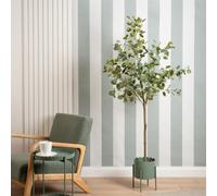 160cm Eucalyptus Tree KD Scottish Everlastings Ltd Green One Size