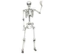 160cm Halloween Skeleton Life-Size Realistic Human Bones Gymax White One Size
