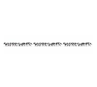 16164 Noch HO Cows Various Sizes White And Black 21 Pieces Form. XL Scale 1:87