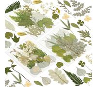 163 Pcs Dried Pressed Flowers for Resin Crafts, Real Natural Pressed Flowers and Leaves, Vacuum Sealed Dry Flowers for Epoxy Resin Jewelry Making, Candle & Soap Making, Nail Art (leaf)