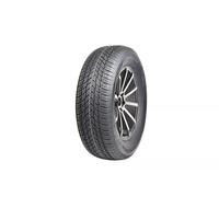 Royal Black Winter HP ( 165/60 R14 75T )