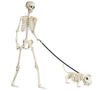165cm/5ft Life Size Posable Halloween Skeleton, Realistic Full Body Human Skeleton Bones with Movable Joints & Dog Skeleton - Outdoor Haunted House Graveyard Scene Horror Themed Parties Decor
