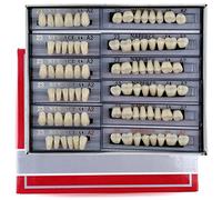 168 Pieces False Teeth Dental Complete Acrylic Resin Denture Teeth, 6 Sets Whole Teeth Synthetic Polymer Denture Tooth, 23 Shade A2 Upper + Lower Dental Materials for Replacement, DIY, or Halloween