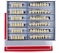 168 Pieces False Teeth Dental Complete Acrylic Resin Denture Teeth, 6 Sets Whole Teeth Synthetic Polymer Denture Tooth, 23 Shade A3 Upper + Lower Dental Materials for Replacement, DIY, or Halloween