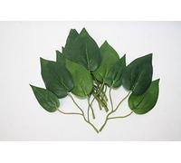 16cm Artificial Green Lily Leaves x 9 Sprigs