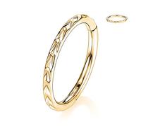 16G Arrow Designed Conch Earring Septum Ear Cuff Helix Clicker Hinged Segment Ring Nose Rings Gold 316L Surgical Steel Seamless Clicker Ring 6mm Cartilage Lobe Tragus Hoop Daith Piercing Jewellery