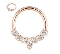 16G Daith Earrings Rose Gold Septum Clicker Ring 316L Surgical Steel Conch Piercing Nose Ring Hoop with CZ Higned Segment Seamless Clicker Ring Rook Tragus Helix Piercing Jewellery Hoop Earring 8mm