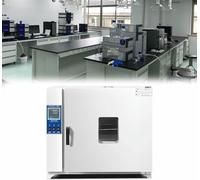 16L/43L Drying Oven Lab Oven, Laboratory Test High Temperature Oven, Electric Blast Drying Oven, Forced Air Convection Lab Oven for Curing&Drying