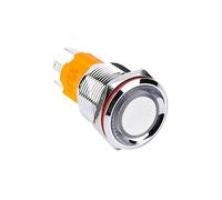 16mm 19MM High current 10A high-power 12V110V 24V 220V LED light latching momentary self-lock push button switch IDGTTLDF(Ring Illuminated,16MM_48V)