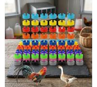 16mm Plastic Leg Rings For For Chickens Ducks And Geese With Functional Numbering And Secure Clasp For Active Birds(There are characters)