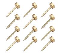 16pcs Brass Screws, Self Tapping for Wood, 12mm Brass Screws, Ideal for Fixing Mirrors, Assembling Tables, Repairing Furniture and Crafting Wood Projects