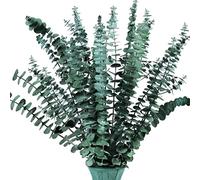 16Pcs-Preserved-Dried-Eucalyptus-Branches, 17" Eucalyptus Plant Stem, Real Eucalyptus Bunch for Vase Filler, Dried Flowers Arrangement, Floral Home DecorEucalyptus Stems, Artificia