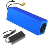 16S4P 60V 13Ah Lithium Ion Battery Pack Li Ion Battery Built in 50A BMS with and Charger(T)